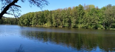 Рыбалка на Шелеховском озере