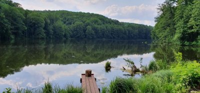 Рыбалка на Шелеховском озере