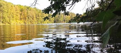 Рыбалка на Шелеховском озере