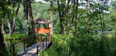 Рыбалка на Шелеховском озере