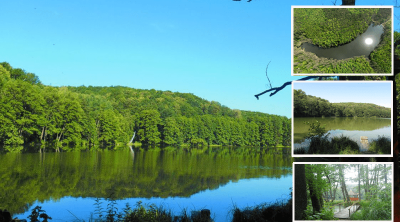 Рыбалка на Шелеховском озере