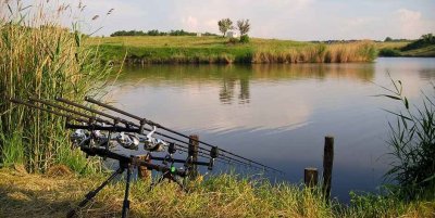 Рибалка на ставці № 2 