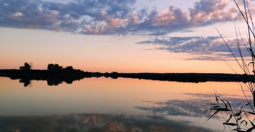 Рибалка на ставці № 4 у селі Заповітне 