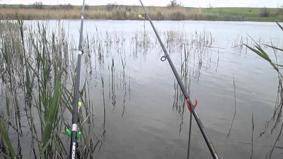 Рибалка на ставку № 6 у селі Заповітне Кам'янсько-Дніпровський р-н. Запорізька обл.
