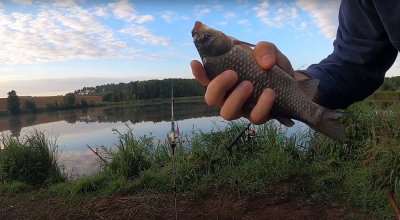 Рыбалка на ставке «Пан Карась»