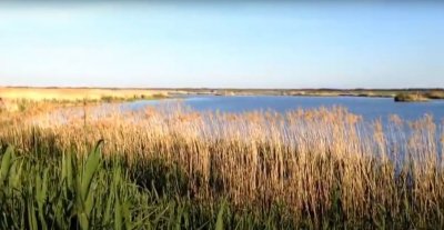 Риболовля на ставку Варварівка в Дніпропетровській області