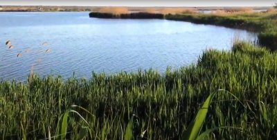 Риболовля на ставку Варварівка в Дніпропетровській області