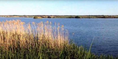 Риболовля на ставку Варварівка в Дніпропетровській області