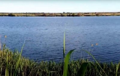 Риболовля на ставку Варварівка в Дніпропетровській області
