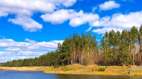 Рыбалка на территории комплекса 