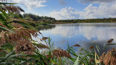 Рибалка на Південному водосховищі