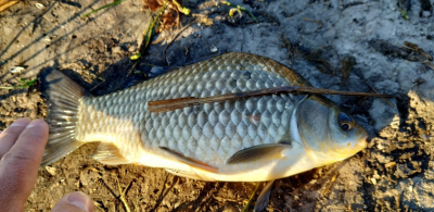 Рибалка на Південному водосховищі