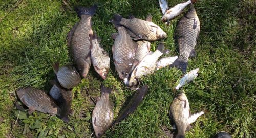 Рибалка на Південному водосховищі