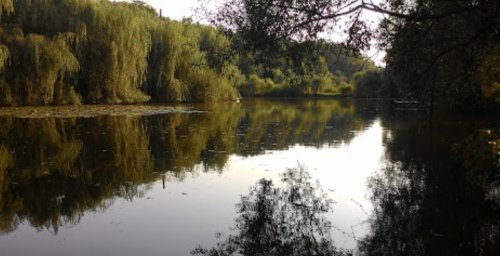 Рыбалка в Березовке - Харьковская область
