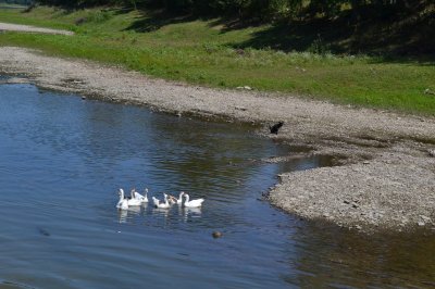 Рибалка у Порті «Раковець» 
