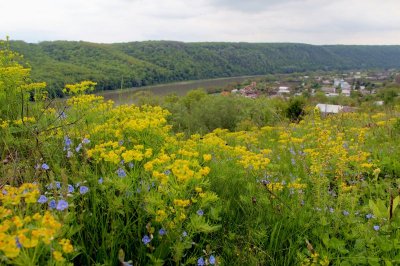 Рибалка у Порті «Раковець» 