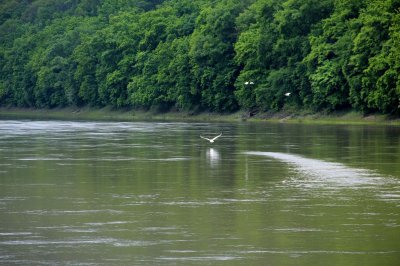 Рибалка у Порті «Раковець» 