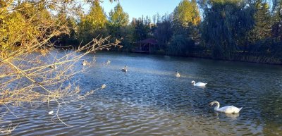 Рыбалка в «Рыбацкой деревне» - Симферополь