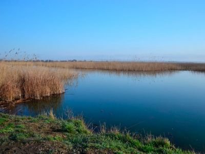 Рибалка у селі Білоцерківка 