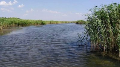 Рибалка у селі Білоцерківка 