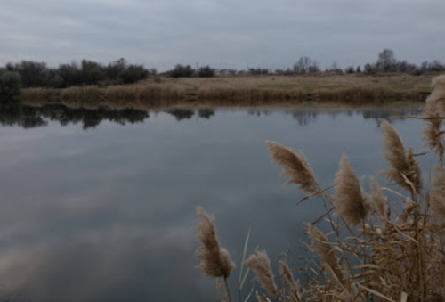 Рибалка у селі Червоний Яр Запорізький р-н. Запорізька обл.