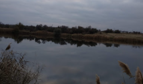 Рибалка у селі Червоний Яр Запорізький р-н. Запорізька обл.