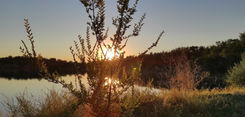 Рибалка у селі Григорівка Запорізький р-н. Запорізька обл.