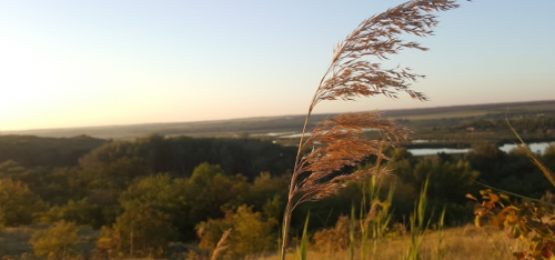 Рибалка у селі Григорівка Запорізький р-н. Запорізька обл.