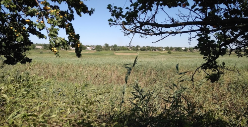 Рибалка у селі Марфополь на річці Гайчур 