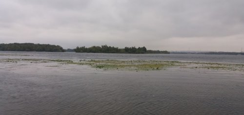 Рибалка у селі Нижня Хортиця Запорізький р-н. Запорізька обл.