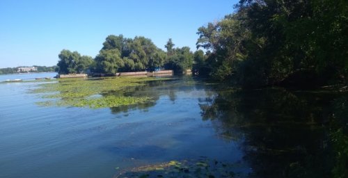 Рибалка у селі Нижня Хортиця Запорізький р-н. Запорізька обл.