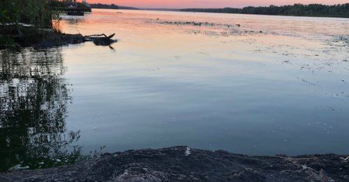 Рибалка у селі Нижня Хортиця Запорізький р-н. Запорізька обл.