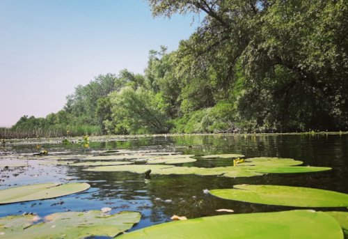 Рибалка у селі Нижня Хортиця Запорізький р-н. Запорізька обл.