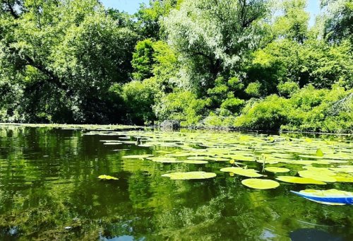 Рибалка у селі Нижня Хортиця Запорізький р-н. Запорізька обл.