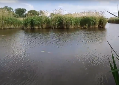 напиши опис про риболовлю на 3 - 5 речень