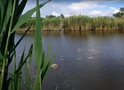 напиши опис про риболовлю на 3 - 5 речень