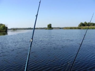 напиши опис про риболовлю на 3 - 5 речень