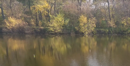 Рибалка у селі Новоселівка 