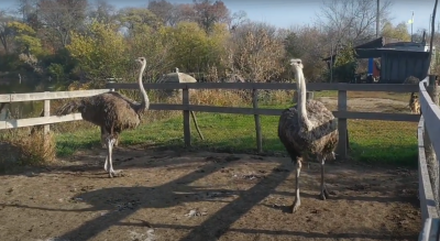 Рибалка у селі Новоселівка 