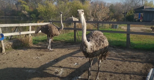 Рибалка у селі Новоселівка 