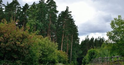 Рыбалка в селе Патриотовка - Сумская область