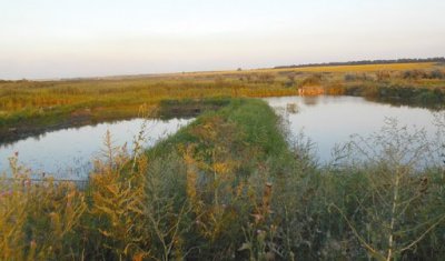 Рыбалка в селе Подгорное Новониколаевского р-н. Запорожской обл.
