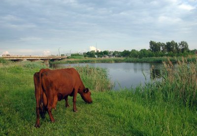 Рибалка в селі Тернівка 