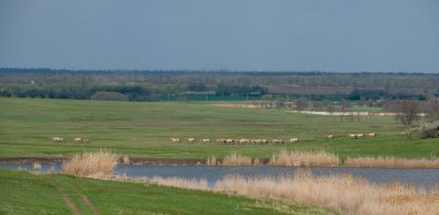 Рибалка в селі Тернівка 