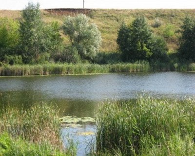 Рибалка в селі Тернівка 