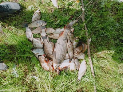 Рибалка в селі Вертокиївка