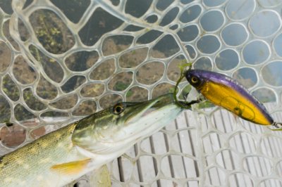 Рибалка у Вінниці. «Аквамарин»