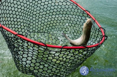 Рибалка у Вінниці. «Аквамарин»