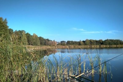 Рыболовное хозяйство Нептун в Киевской области