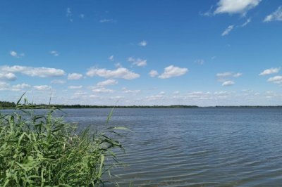 Рыболовное хозяйство Нептун в Киевской области